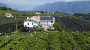 Fasslhof Appiano Sulla Strada Del Vino
